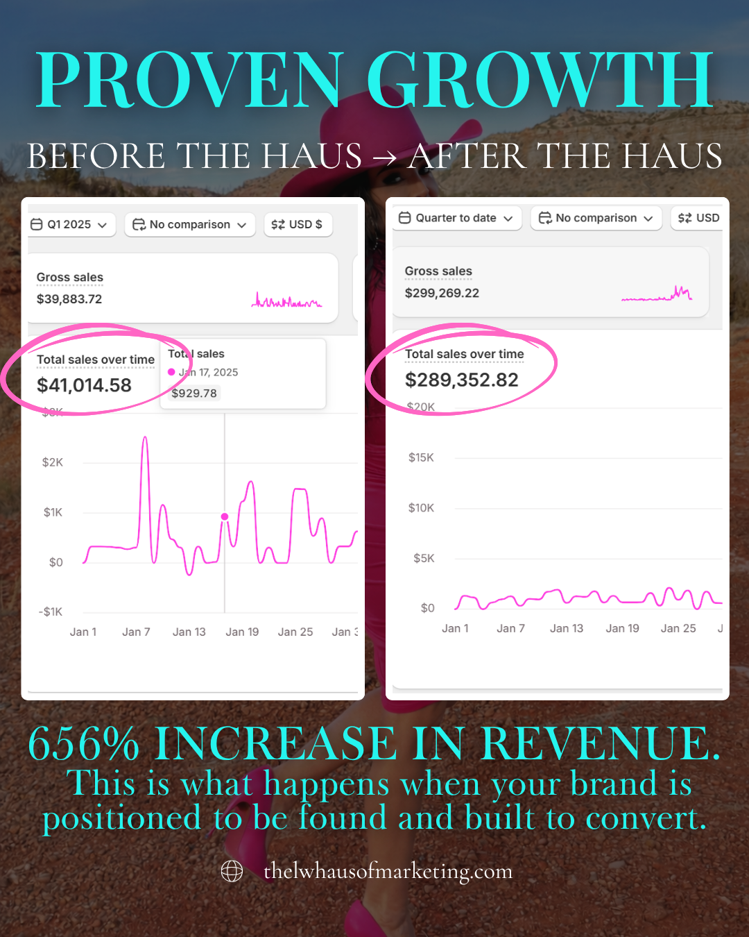 Marketing case study showing revenue growth from $41,014 to $289,352 with a 656 percent increase, highlighting e commerce sales performance, digital marketing strategy, website optimization, and conversion focused brand positioning by The LW Haus of Marketing.